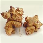 Jerusalem_Artichoke090029